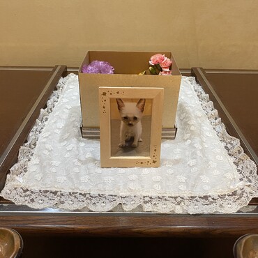 の写真