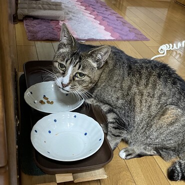 みなさん、ごきげんよう〜　あたちは元気だから(^_^)v