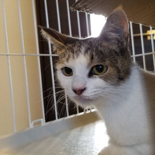 推定２歳女の子