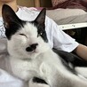 あつい。