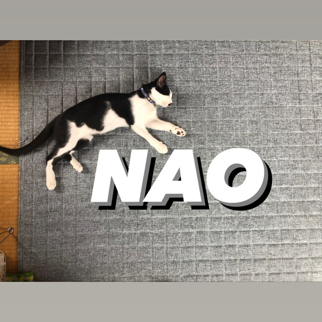 nanao07のカバー写真