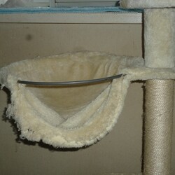 「勝手にカスタマイズ⁉」サムネイル2