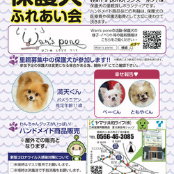 Wan's pono保護犬ふれあい会　第34回 サムネイル1