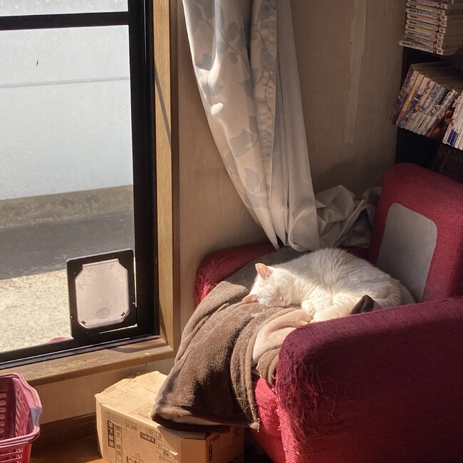 とりとうのカバー写真