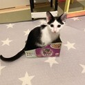 人馴れバツグン甘えん坊の女の子