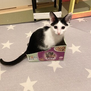 人馴れバツグン甘えん坊の女の子