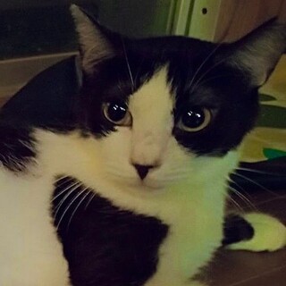 小柄で可愛い♡かおんちゃん