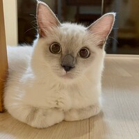 ふみ