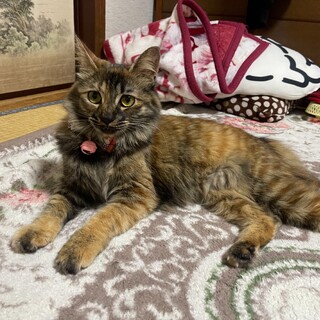 お見合い会で素敵な家族と出会えました☆