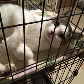 リーダー、全力で甘えます！！