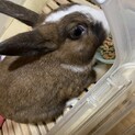 人懐っこいです。