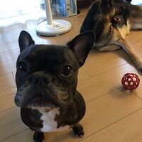 キアラ