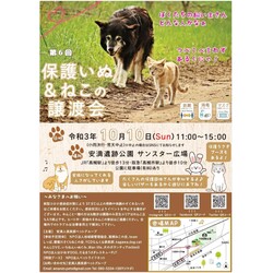 安満遺跡公園 保護いぬ&ねこの譲渡会