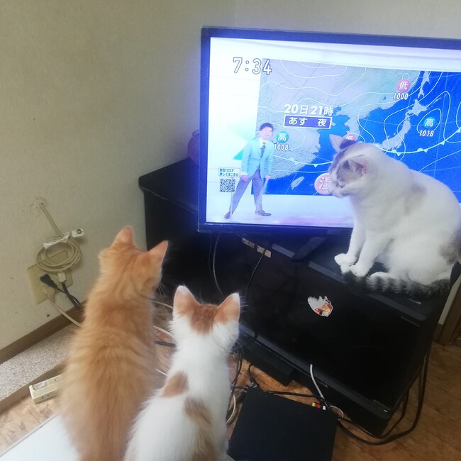 ちさたろのカバー写真