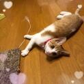 道端アンジェリカ3ヶ月