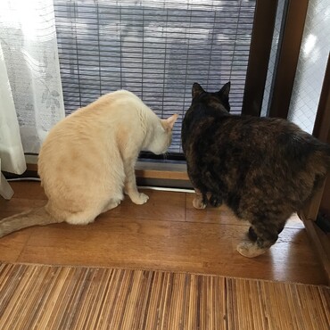 みんな、地震だったけど、大丈夫だよね？