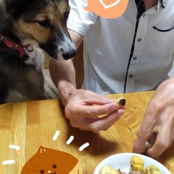 「琳　秋を味わう」サムネイル2