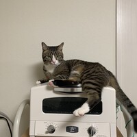 ユッセ