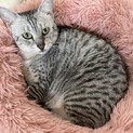おばちゃん10/23Terra里親会に参加❣️