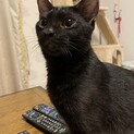 人が大好きな甘えん坊君