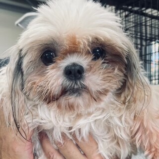 21-W680　元気いっぱいです♪