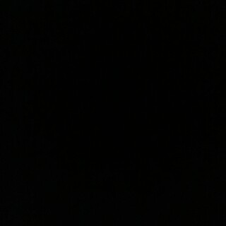 里親様が決まりました。ありがとうございました。