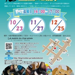 『保護猫のずっとのお家探し里親会』