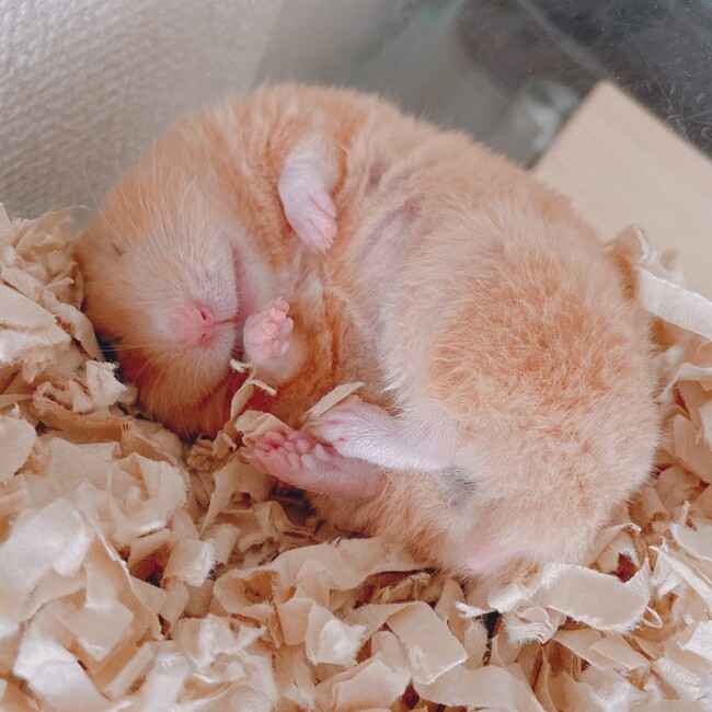 ﾕｰﾐｿのカバー写真