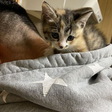 ととが好っき！！