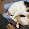 おねむ
