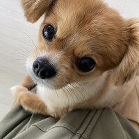 くうたん