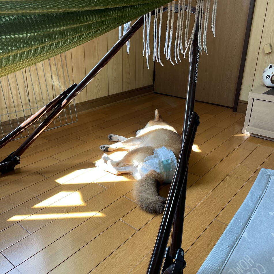 くるみのカバー写真