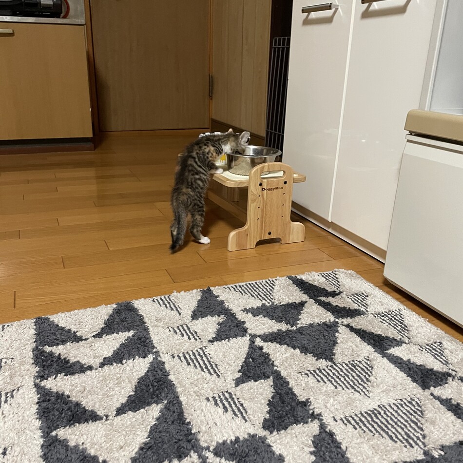 あんこのカバー写真