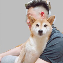 大好きだからー