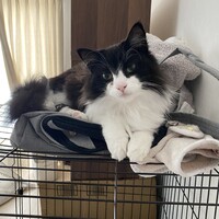 ノル