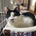 心優しいちょっぴりビビりなタボスくん✩