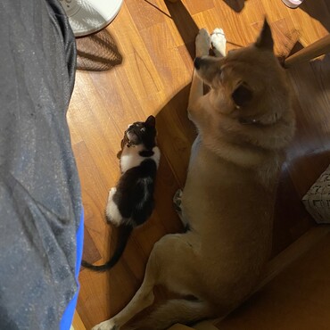 の写真