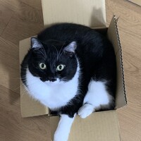 リッツ