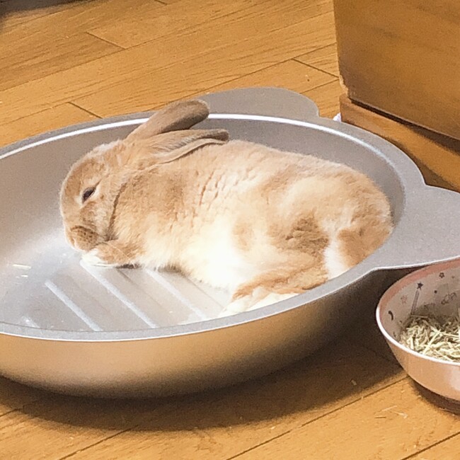 めるきぃのカバー写真