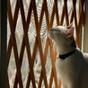 hollykelly