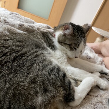 の写真