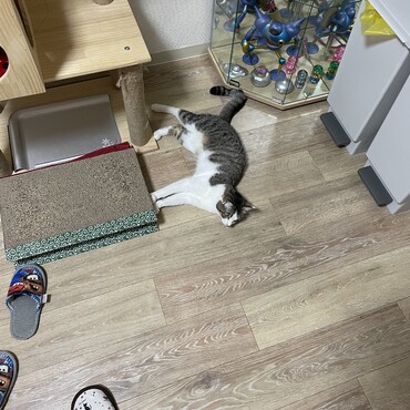 の写真