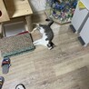 の写真