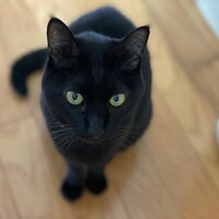 ルナ