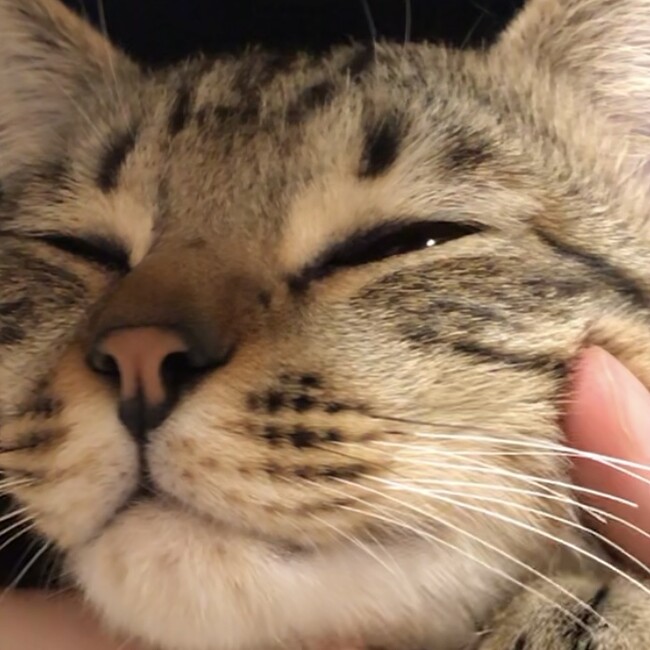 Claire(クレア)のカバー写真