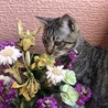 お外の景色を見ることが大好きです。