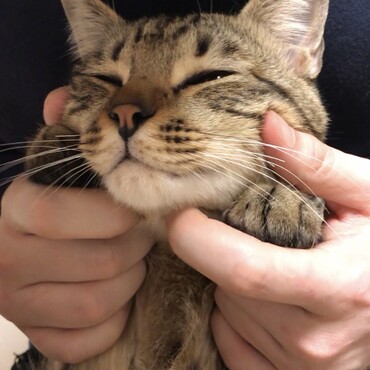 の写真