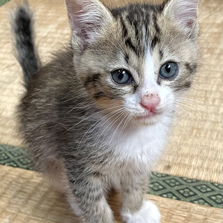 とてもいいご縁に恵まれました！