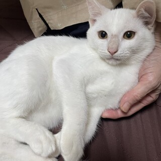 マロくん♡素敵な里親様が見つかりました。