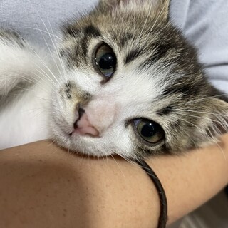 おかげさまでステキな里親さんが見つかりました☆